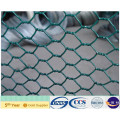 China 2014 PVC Hexagonal Wire Mesh (XA-HM417)